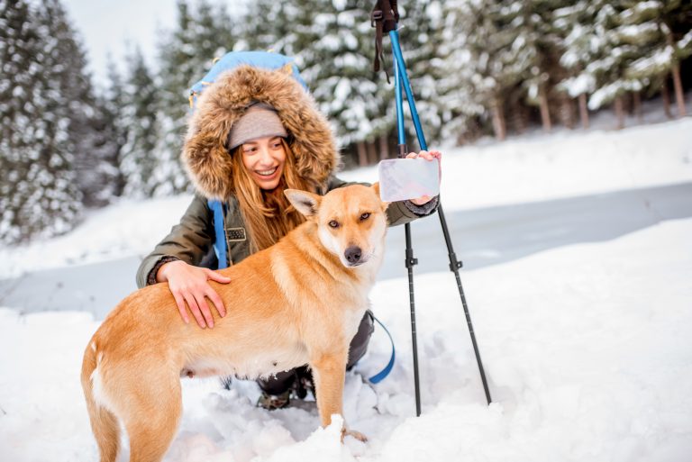 The Best Dog GPS Trackers To Try Right Now