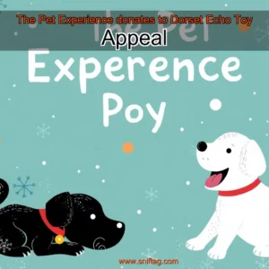 Artistic representation for The Pet Experience donates to Dorset Echo Toy Appeal