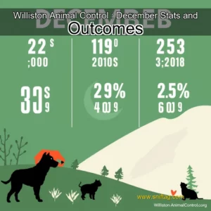 Artistic representation for Williston Animal Control : December Stats and Outcomes