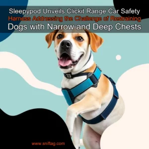Artistic representation for Sleepypod Unveils Clickit Range Car Safety Harness Addressing the Challenge of Restraining Dogs with Narrow and Deep Chests