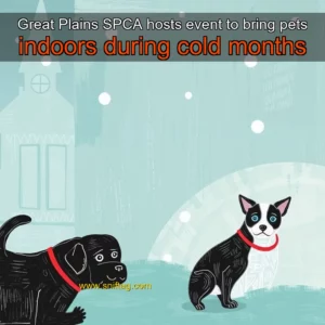 Artistic representation for Great Plains SPCA hosts event to bring pets indoors during cold months