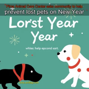 Artistic representation for Pima Animal Care Center asks community to help prevent lost pets on New Year