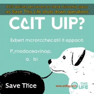 Artistic representation for ACS advises pet owners to check microchip status as Save This Life shuts down operations