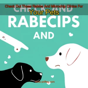Artistic representation for Check Out These Rabies And Microchip Clinics For Your Pets
