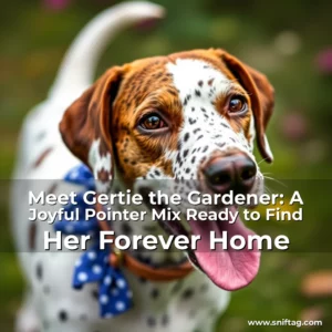 Artistic representation for Meet Gertie the Gardener: A Joyful Pointer Mix Ready to Find Her Forever Home