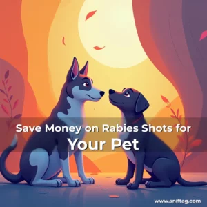 Artistic representation for Save Money on Rabies Shots for Your Pet